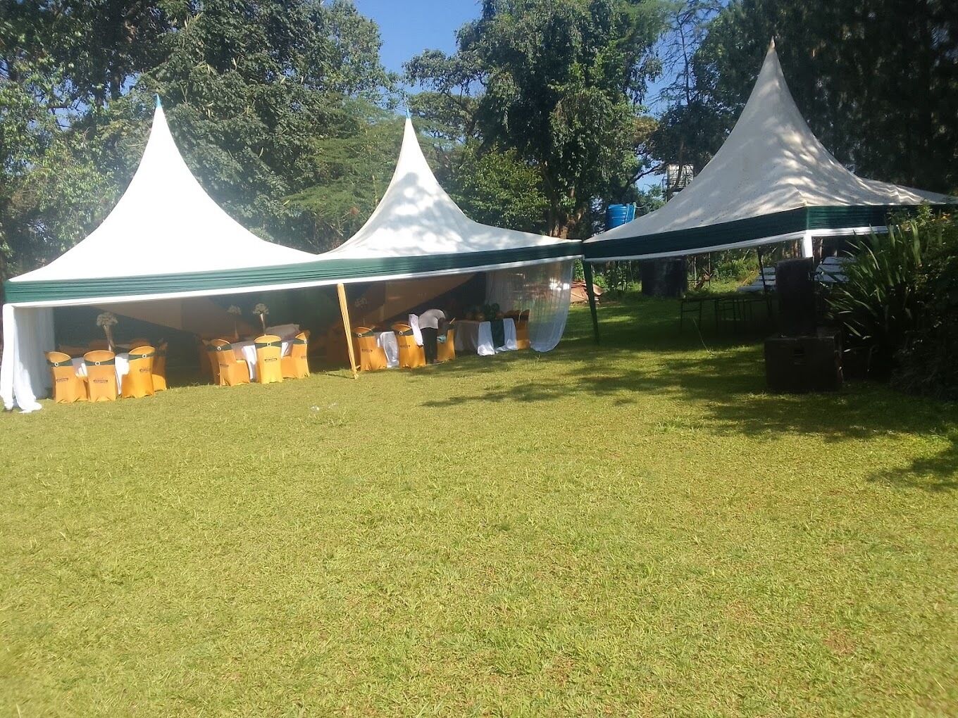 A grassy outdoor area with three white tents with green trim.