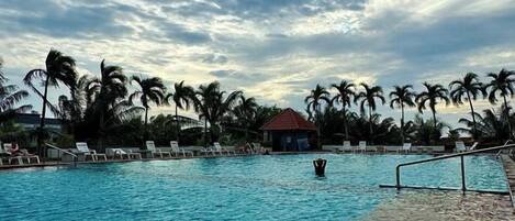A swimming pool with lounge chairs and palm trees.