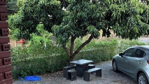 En grusvej med et picnicbord og bænke, en parkeret bil og et stort træ.
