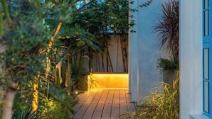 A wooden deck leading to a white building with blue shutters, surrounded by lush greenery. - domdomHOUSE Villa - 1min to beach (Ha Long)