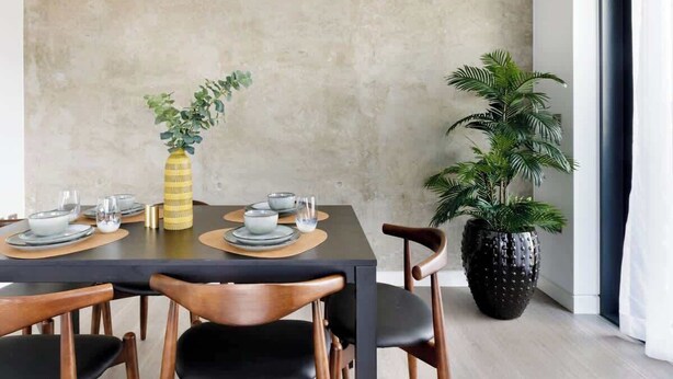 A dining area with a table set for four, chairs, a potted plant, and a textured wall.