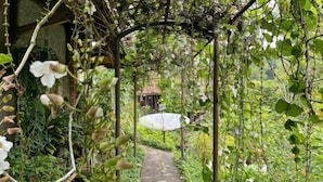 A garden pathway with a pergola, lush greenery, and a white umbrella. - Large Bogor Villa w/ Pool, BBQ Grill& Fishing Spot (Cigombong)
