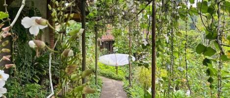 Overnattingsstedets uteområder