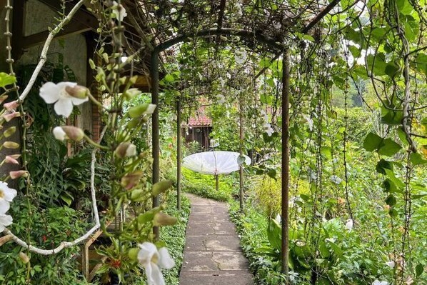 Jardines del alojamiento