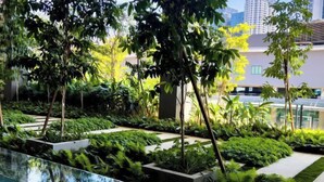 Un jardin intérieur moderne, agrémenté d’un élément décoratif aquatique réfléchissant et d’une végétation luxuriante.