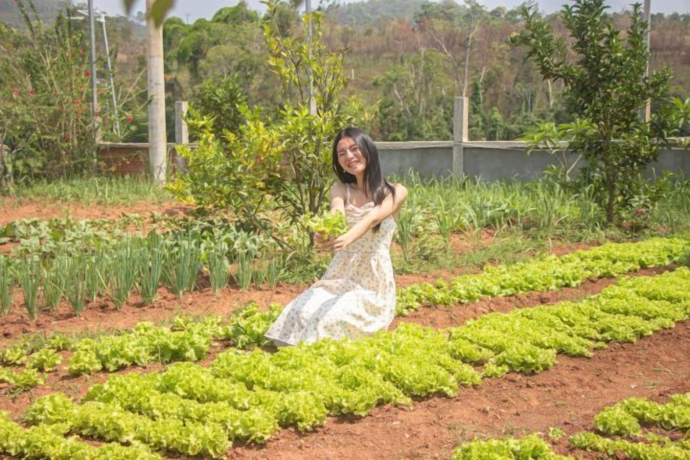 A person in a garden with rows of leafy greens.