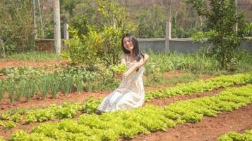 A person in a garden with rows of leafy greens.