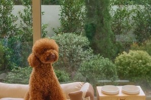 Property amenity - Roove Pool Villa Khaoyai (Pak Chong)