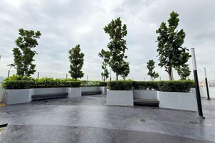 A paved outdoor area with planters and trees.