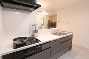 A modern kitchen with a stove, sink, and dishwasher. - Tsubakirakukyo (Osaka)