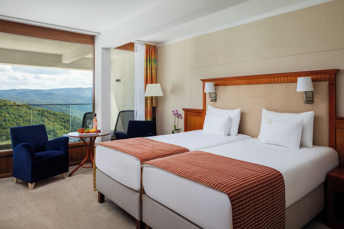 Habitación de hotel con dos camas, vista a las montañas, una silla, una mesita con fruta y una lámpara.