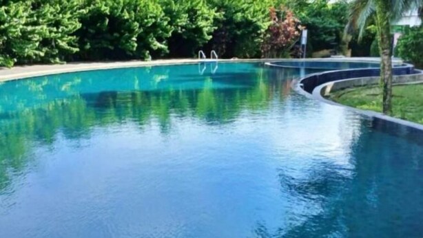 Une piscine aux eaux claires et limpides, à bords incurvés, entourée d’une végétation luxuriante et d’une pelouse bien entretenue.