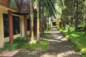 A pathway lined with palm trees leading to a building with a tiled roof. - Amorn inn resort (Chiang Rai)