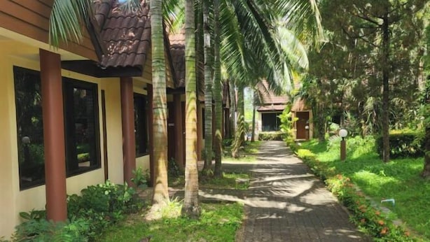 A pathway lined with palm trees leading to a building with a tiled roof. - Amorn inn resort (Chiang Rai)