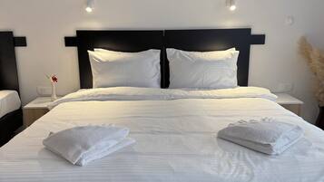 Standard Double or Twin Room | Desk, laptop workspace, free WiFi