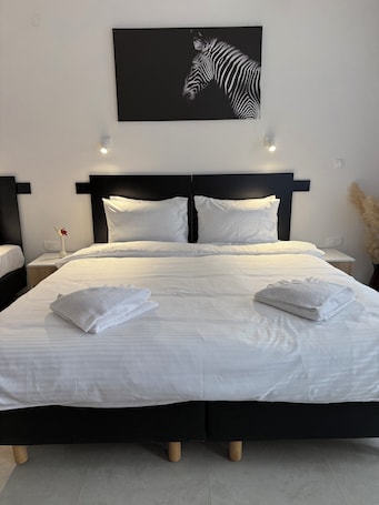 Standard Double or Twin Room | Desk, laptop workspace, free WiFi