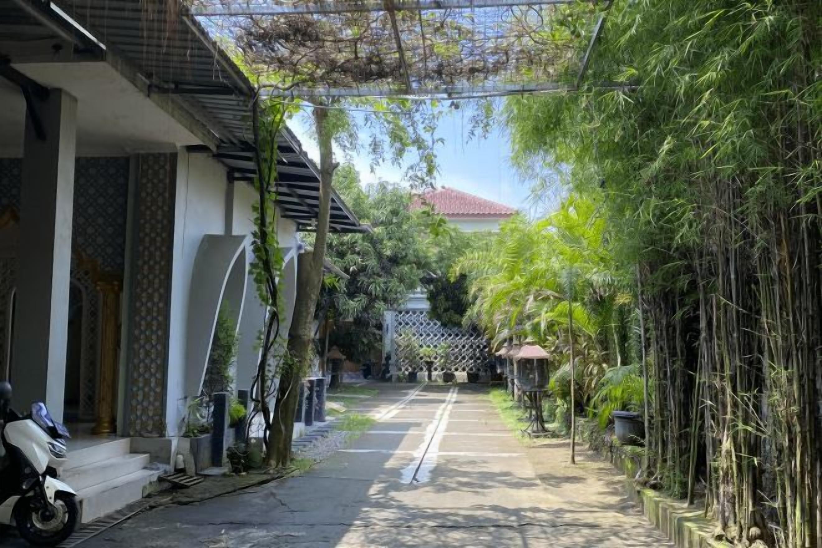 A narrow street with a traditional building on the left and a bamboo grove on the right.
