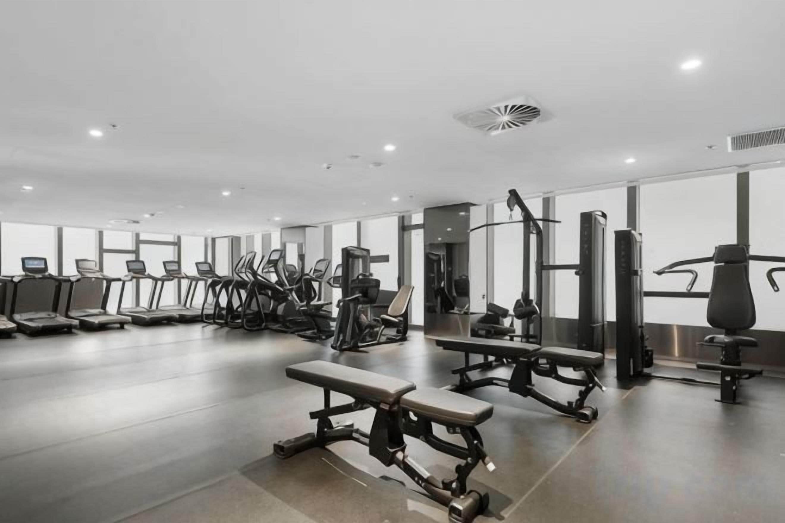 Un gimnasio con cintas de correr, máquinas de pesas y bancos.