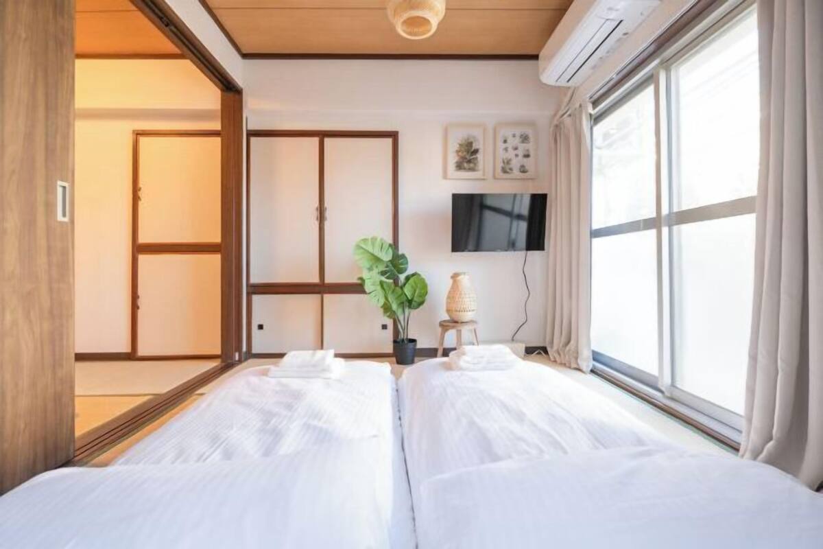 Habitación de hotel con dos camas, una planta en maceta, un televisor y un amplio ventanal con cortinas.