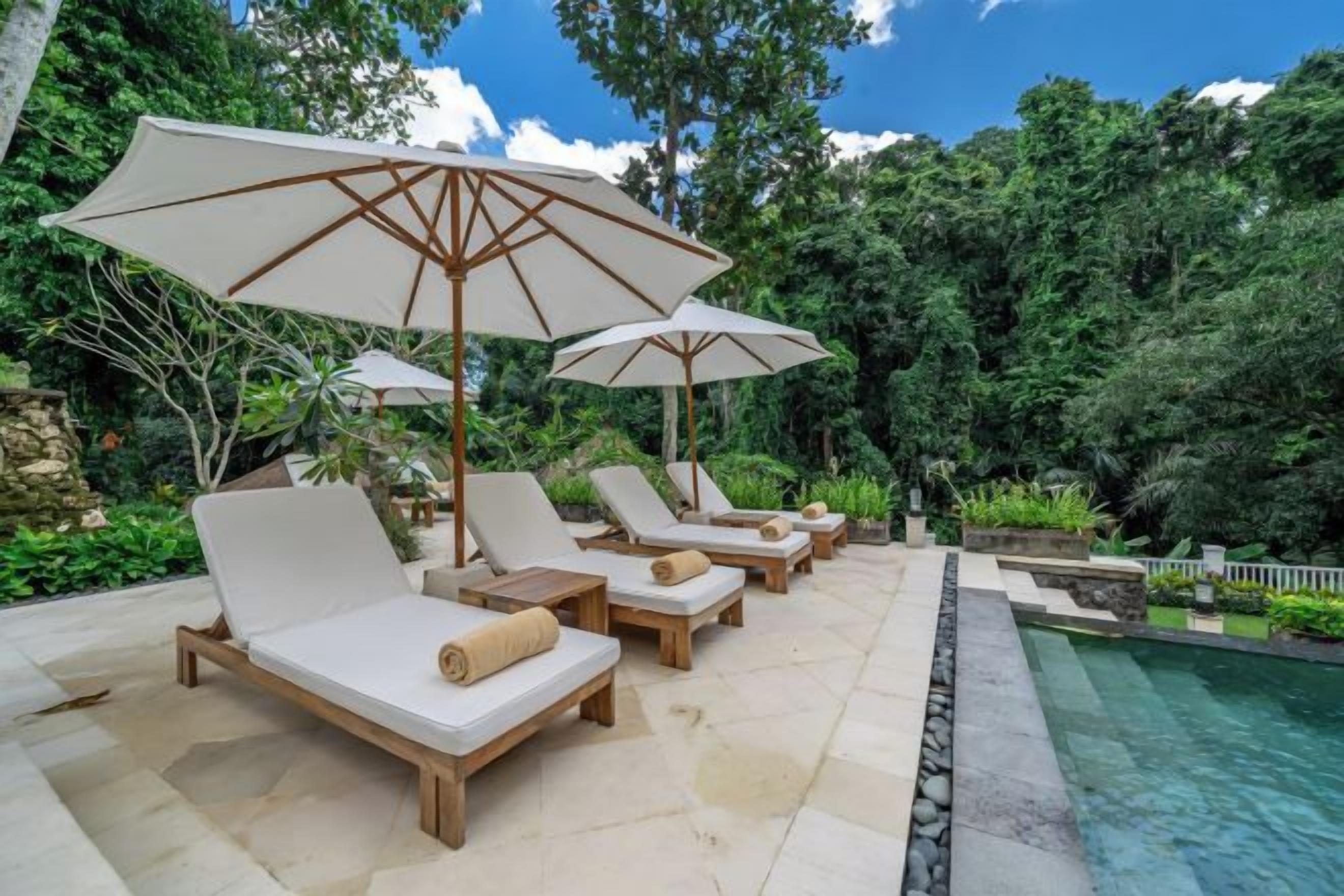 Un espace aménagé au bord de la piscine, avec des chaises longues et des parasols, entouré d’une végétation luxuriante.
