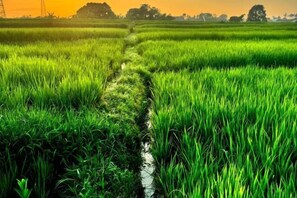 Vistas desde el alojamiento