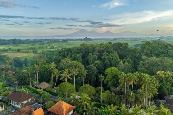 A tropical landscape with a mountain in the background, surrounded by dense greenery and a few buildings. - VillaJewel Bali (Bali)