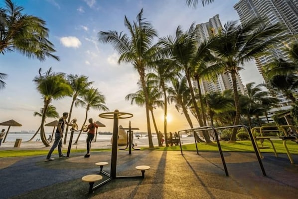 An outdoor gym area with exercise equipment, palm trees, and a view of the beach.