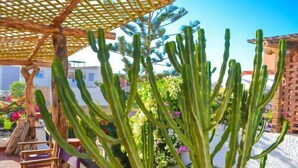 Uma pérgola de madeira com cactos, uma cadeira de madeira e uma parede branca com flores.