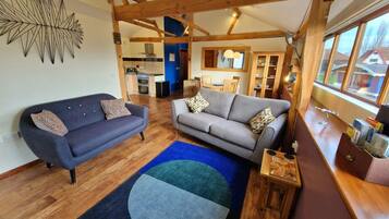 Televisio, DVD-soitin, kirjoja