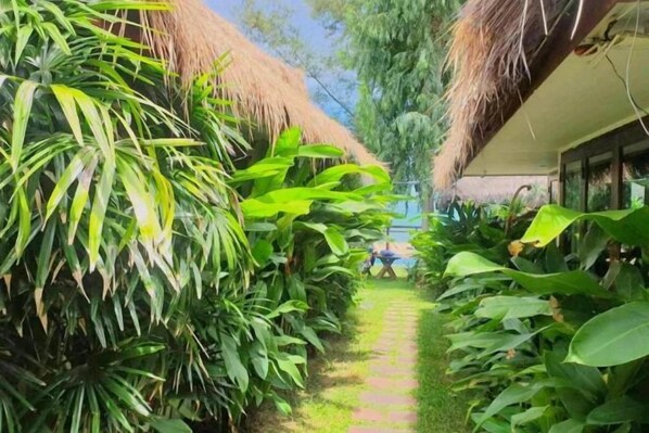 Garden - The Bora Bora - Bed and Dream (Pran Buri)