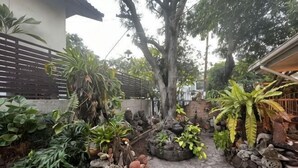 Un jardin avec différentes espèces de plantes, un chemin en pierre et une clôture.