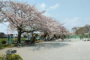 Miscellaneous - 1-min station/4 lines/Kiyoka Villa (Tokyo)