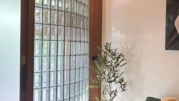 Une pièce avec une porte en bois, une cloison en blocs de verre, une plante en pot et un tableau encadré au mur.