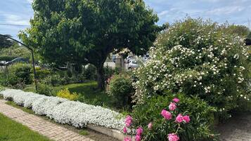 A garden with a paved walkway, a large tree, and flowering bushes.