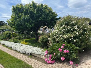 En trädgård med en stenlagd gångväg, ett stort träd och blommande buskar.