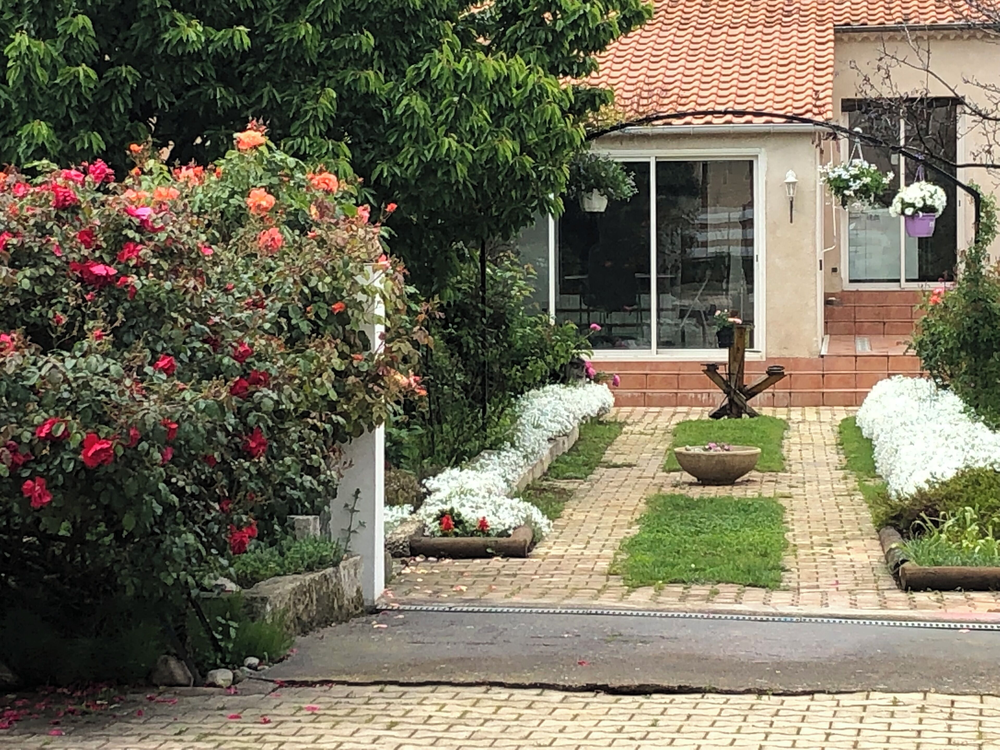 Área da propriedade