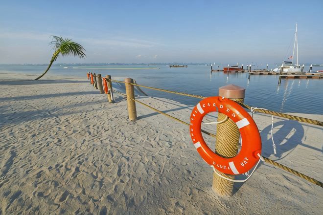 Een zandstrand met een touwbarrière, een reddingsboei en een palmboom.