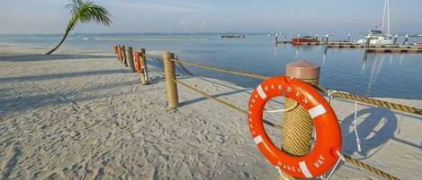 A sandy beach with a rope barrier, a lifebuoy, and a palm tree.