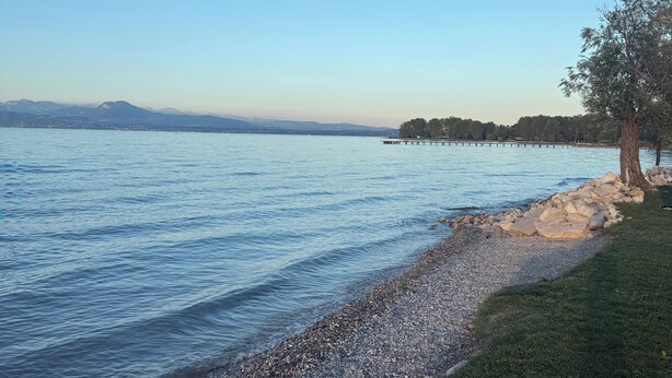 Una playa de guijarros con una zona cubierta de hierba y un árbol, con vistas a aguas tranquilas y montañas lejanas.
