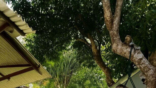 A modern outdoor patio with a hanging chair, a small play area, and a dining setup. - Amazon House with Pool, Pool Table, BBQ, 5 min from the Beach (Macapá)