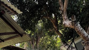 A backyard with a hammock, a small play area, and a covered patio. - Amazon House with Pool, Pool Table, BBQ, 5 min from the Beach (Macapá)