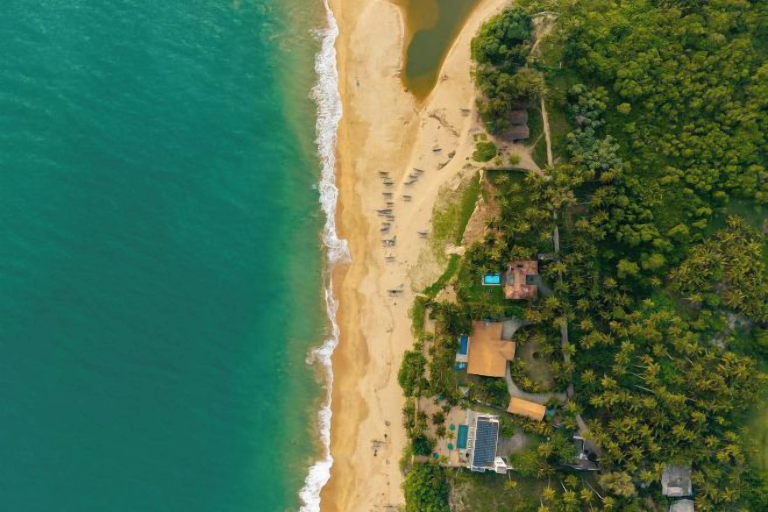 An aerial view of a beachside property with a swimming pool, a small building, and dense greenery.