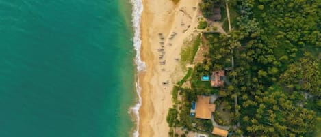 An aerial view of a beachside property with a swimming pool, a small building, and dense greenery.