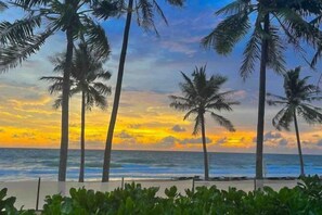 Ein Strand mit Palmen und einem Sonnenuntergang über dem Ozean.