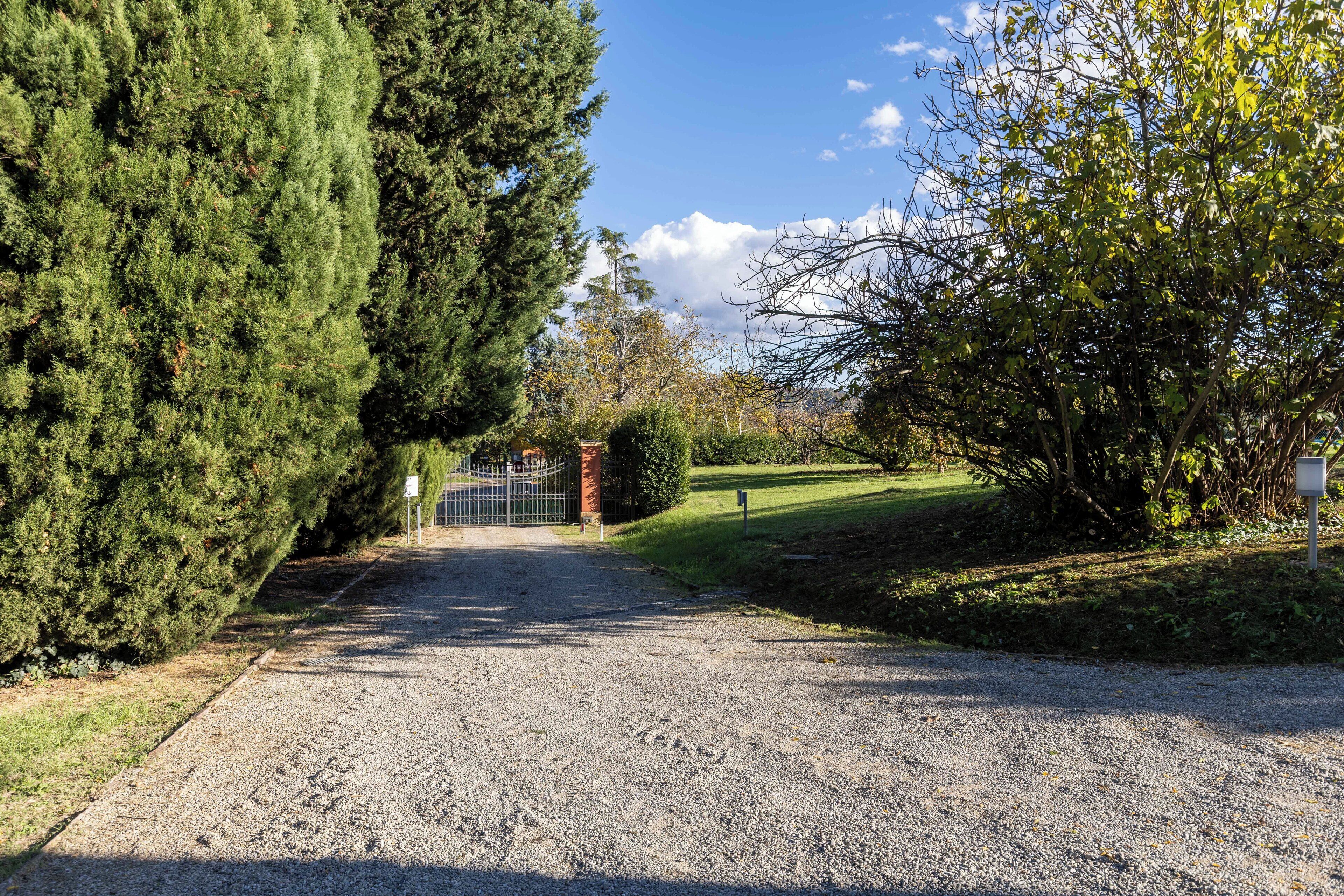 A gravel driveway leading to a gated entrance surrounded by dense evergreen trees and a grassy area.