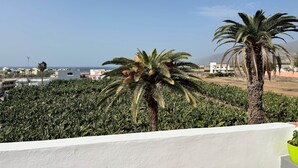 A rooftop garden with palm trees and a view of the sea and buildings in the background.