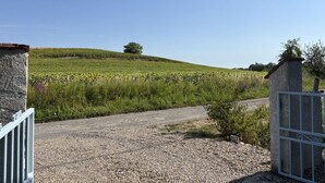 A gravel driveway leading to a gated entrance with a stone wall and a metal gate. - Charming Cottage in Auvergne with Pets Allowed (Bellenaves)