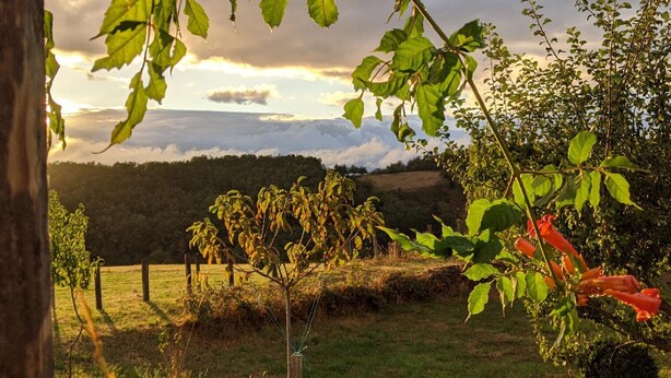 A rural landscape with a small tree, a fence, and a view of a forested hill under a cloudy sky. - Country cottage with pets allowed near Roanne (Neulise)