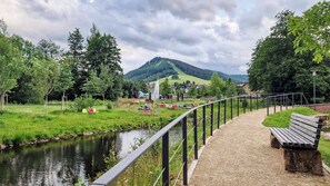 المنطقة المحيطة بالمنشأة