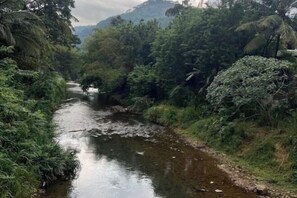 Vue depuis l’hébergement